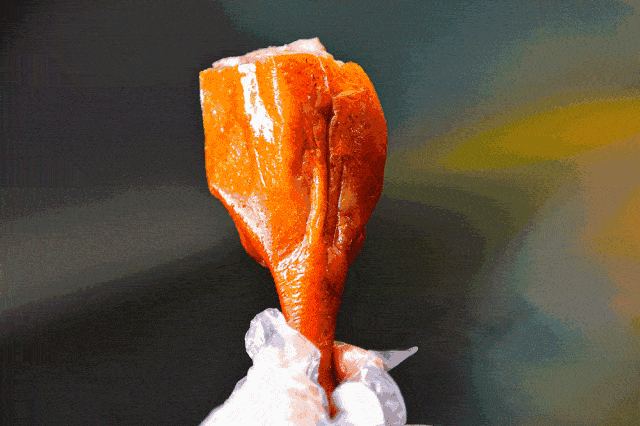 黄埔这家烧鹅王皮脆肉嫩,香滑多汁,烧鹅之霸!