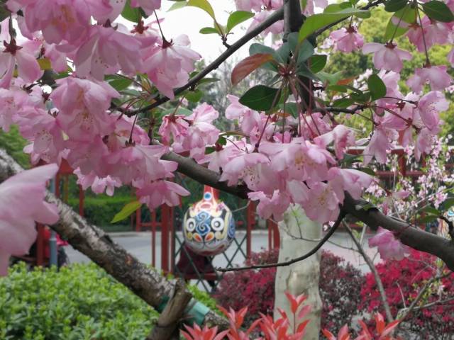 进一步拓展大家亲绿享绿的空间,从4月1日起,新泾公园正式实行24小时