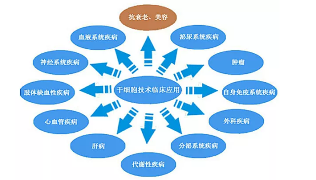 自体干细胞—引领美容抗衰新时代!