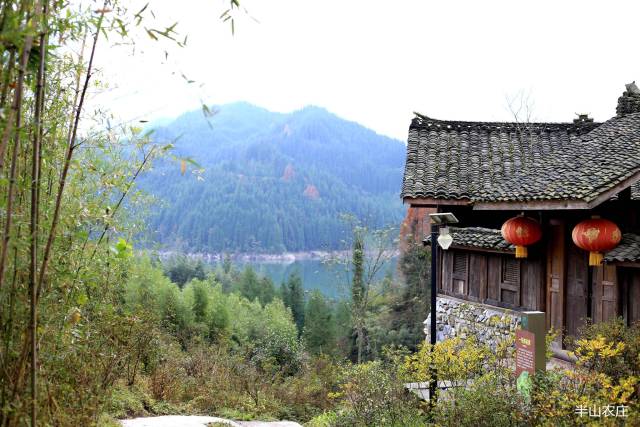 瓦屋山漫山花海,半山農莊邀你去四川