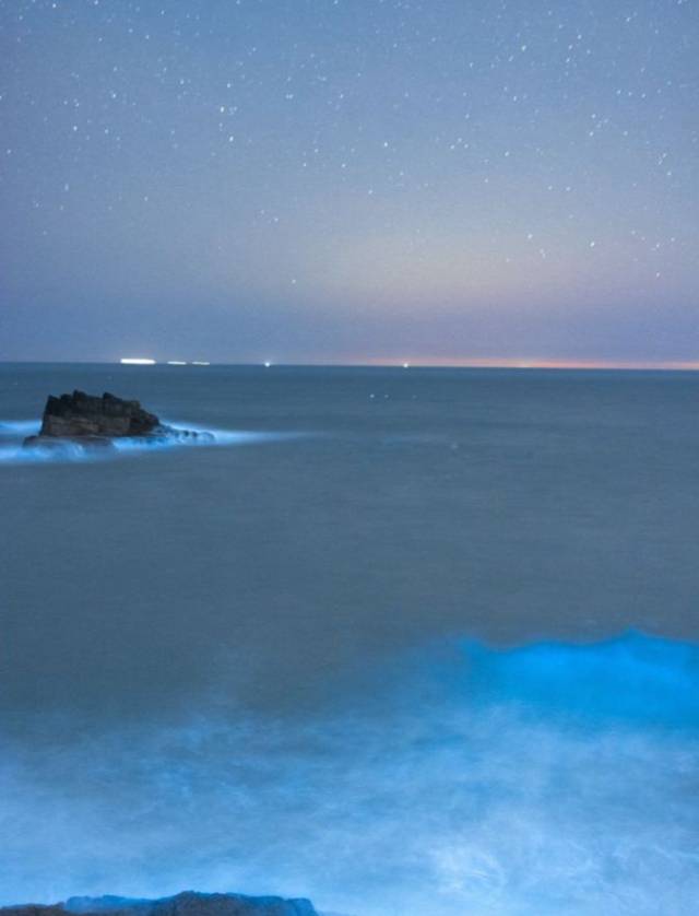 传说中最美的荧光海,犹如蓝色星河超梦幻!