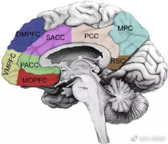 midline structures,而图中的 vmpfc(腹内侧前额叶皮质,dmpfc(背