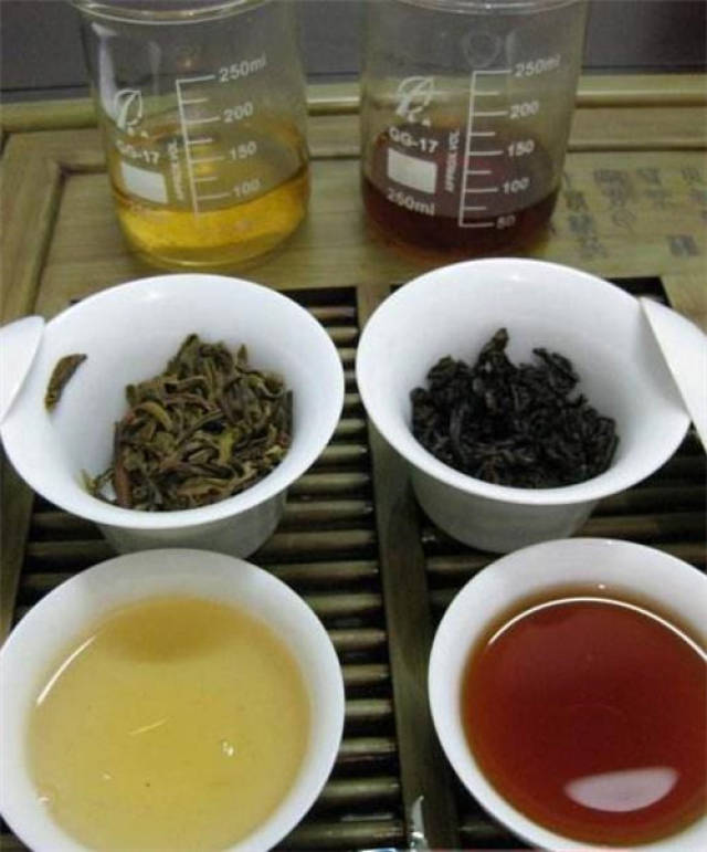新会小青柑：广东特产的新宠
