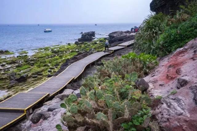 五一· 涠洲岛&斜阳岛 帆船体验,沙滩车,环岛骑行,浮潜,海钓,寻鲸