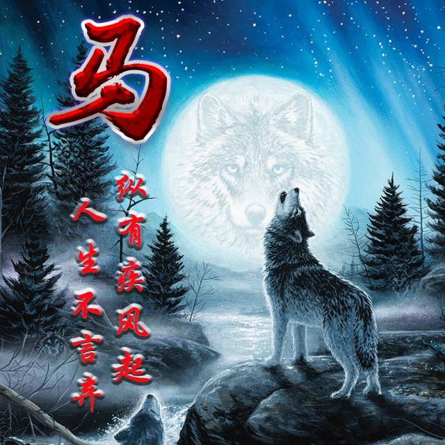 你有多久没换头像了,星空孤独狼姓氏微信头像,赶紧领走