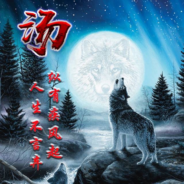 你有多久没换头像了,星空孤独狼姓氏微信头像,赶紧领走