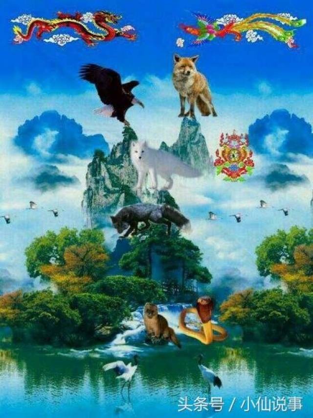 出马仙是今生缘分仙 出道是因果缘分慧根仙