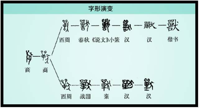 汉字解读【每日一字】兽:左牵黄 右擎苍_搜狐网