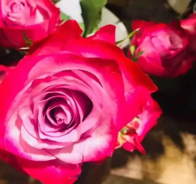 阿里巴巴实行996工作制,即使年薪50万,我做为