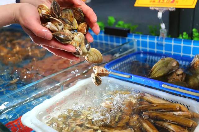 雲龍湖邊新開騷包色海鮮館,100 種直運海鮮,還原了地道的溫州味道!