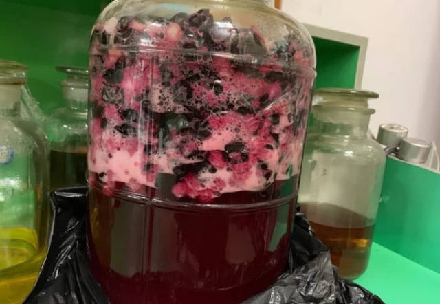什么是嘉宝果?嘉宝果酿酒方法