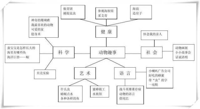 关于动物的主题网络图