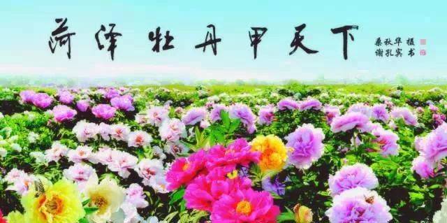 菏泽文化传媒：文化之河中的一朵浪花