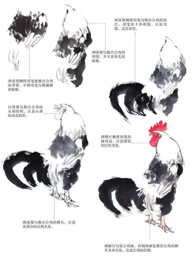 中国画中鸡的各个部分画法学习
