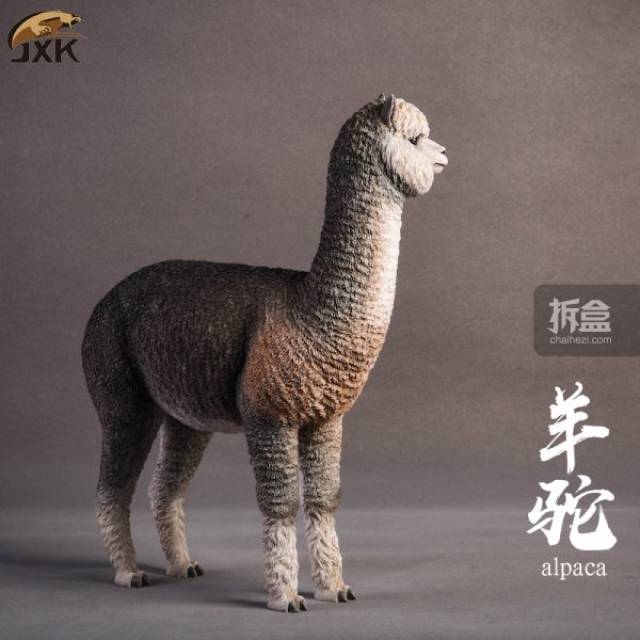 jxk.studio 羊驼 1:6动物模型