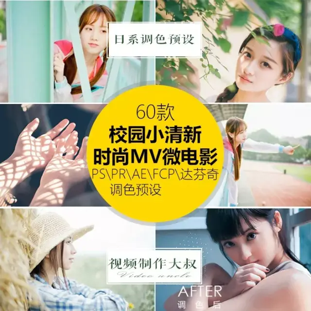 AE\/PR调色插件滤镜!日系小清新60款调色预设