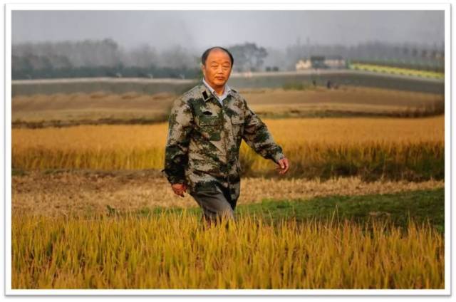 【学思】第一书记徐勤生:村官做到狗不叫,才是真的呱呱叫_手机搜狐网