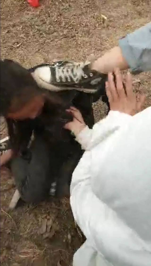 邯郸广平一学校发生校园暴力多名低龄女生被逼下跪