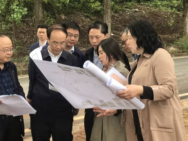 大足区长李步彬率队开展"马路办公",调研城区利用边角闲置用地绿化