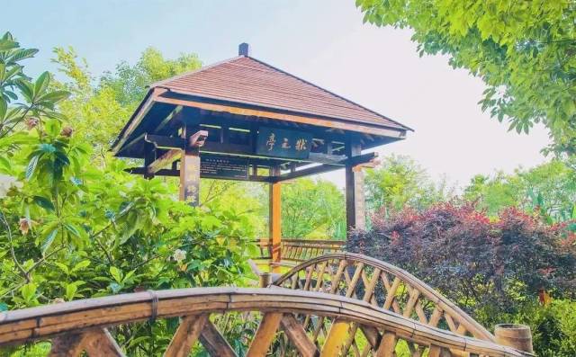 乡村旅游新星 | 金星村,一个来过就能让人"路转粉"的海盐景区村庄!