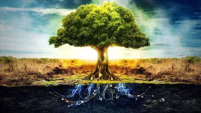 卡巴拉生命之树超清晰图片