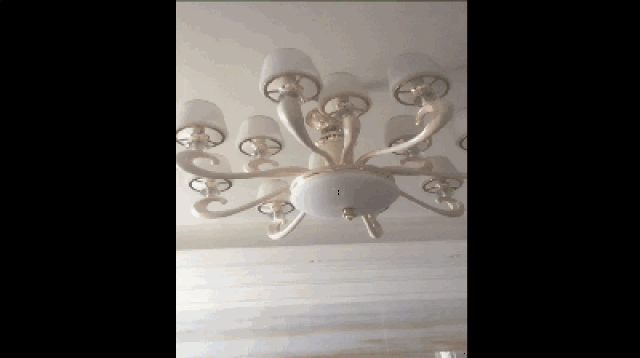 【刚刚确实地震了】嘉兴好多高楼晃了几下 一