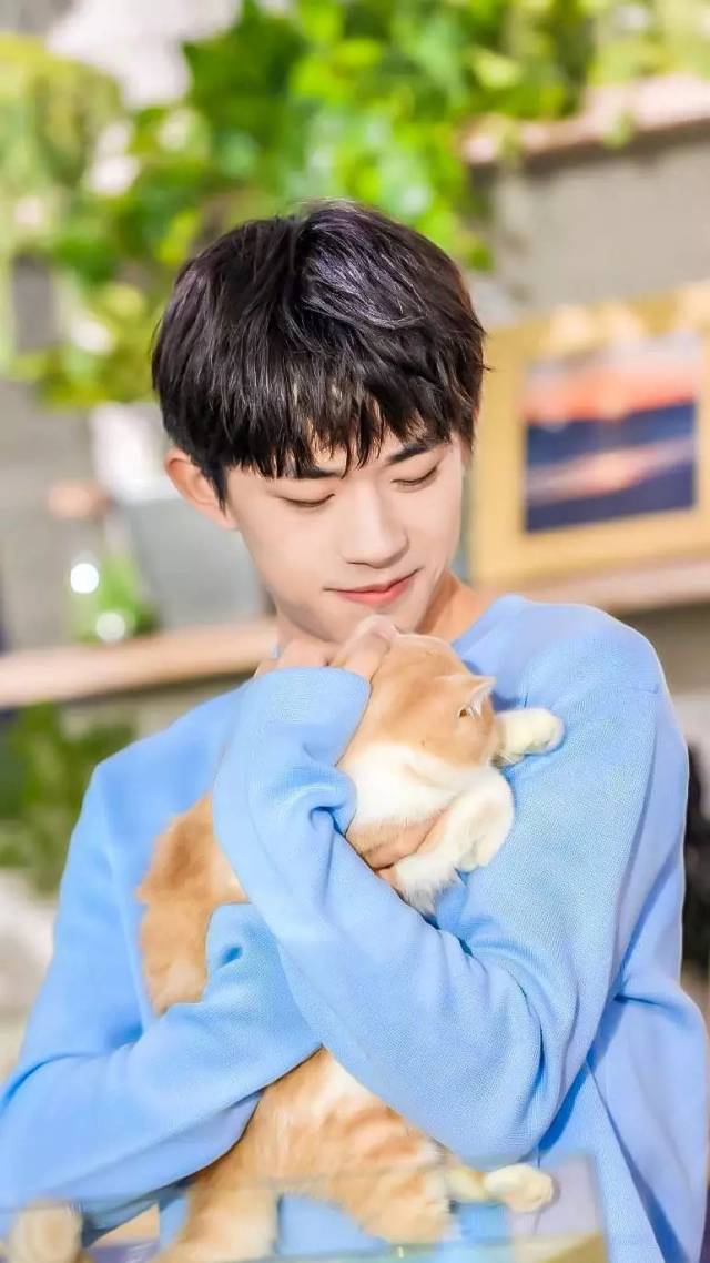 终于知道易烊千玺为什么不给粉丝看他的猫了,这让猫咪很难堪