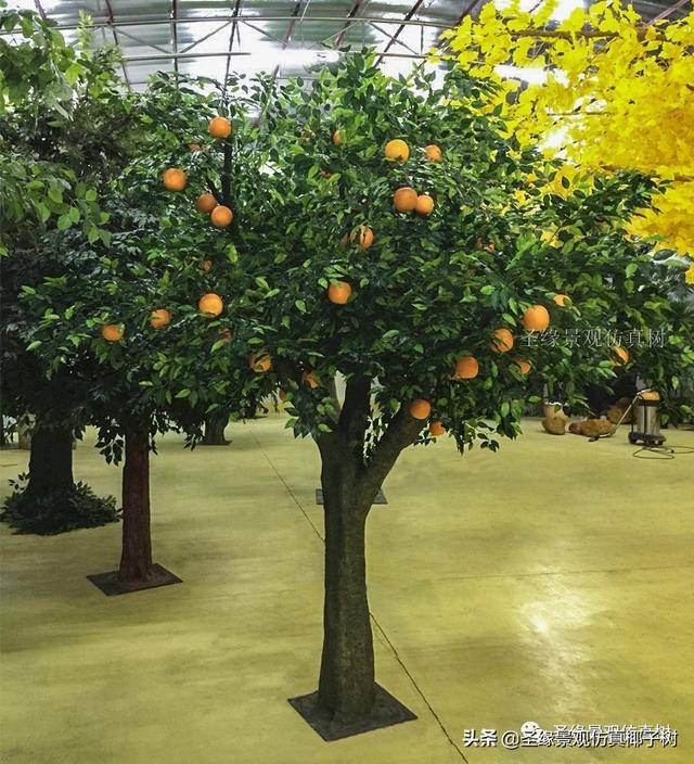 圣缘景观仿真橘子树|金黄色橘子犹如黄昏时刻的太阳