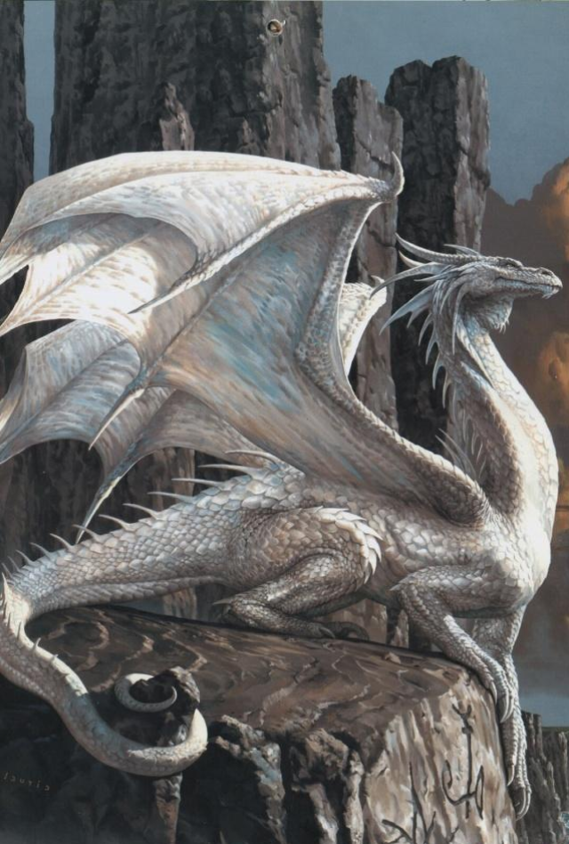 dnd白龙,dnd龙,dnd红龙(第3页)_大山谷图库