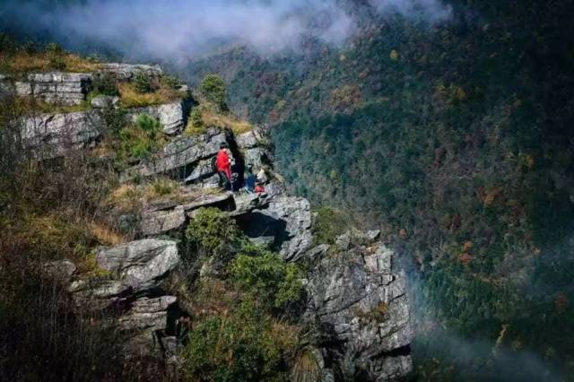 【美丽桂东】登高青娥山,赏万亩云锦花开花落!