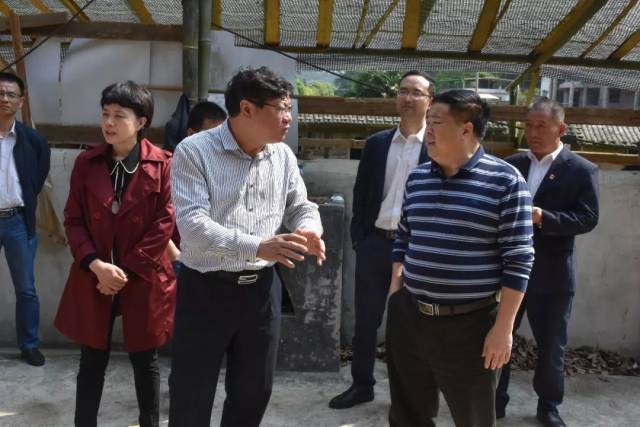 市人大常委会副主任苏立波一行莅临蛟洋红军医院视察