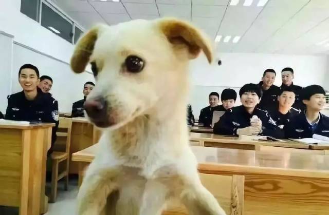 独得老师恩宠!