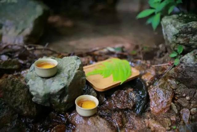 穀雨一杯香茗坐其間