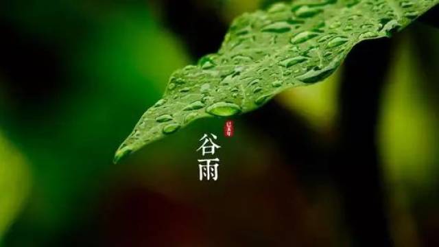 谷雨雨生百谷润物无声