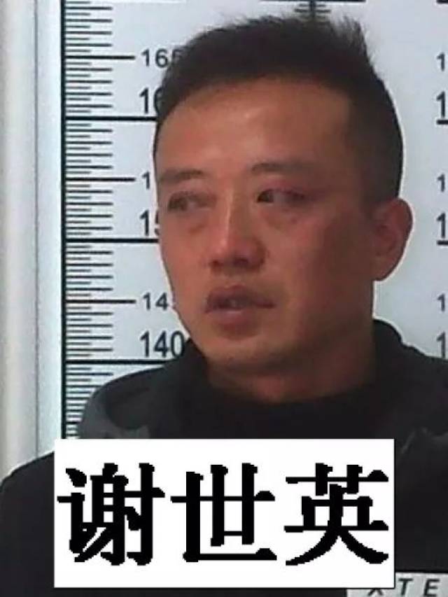 关于公开征集代志文犯罪团伙违法犯罪证据及敦促涉案人员投案自首的