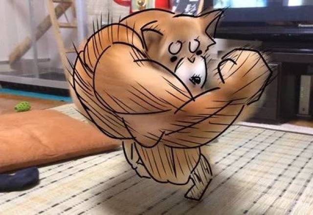 柴犬高速旋转的瞬间被网友脑洞成旋风肌肉柴