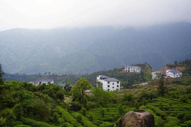 武夷仙山岭,分水关下古道千年,仙村万里河红茶香