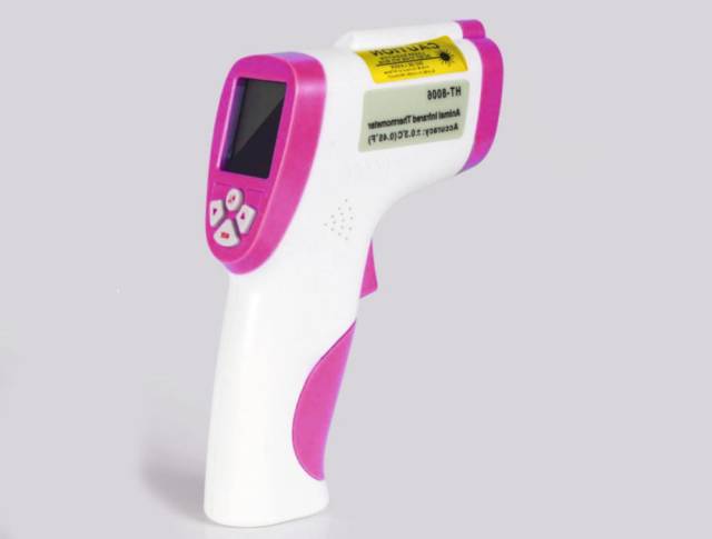 新手铲屎官要学会给猫咪量体温,才能放心大胆