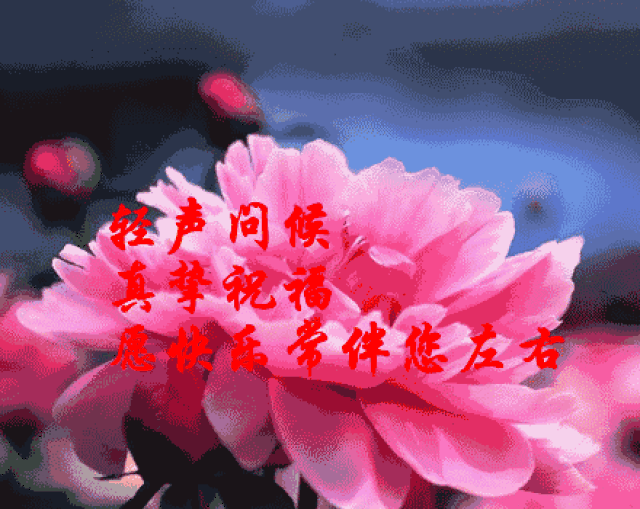 早上好,朋友,一首《感谢上天让我遇到你》送给有缘的你