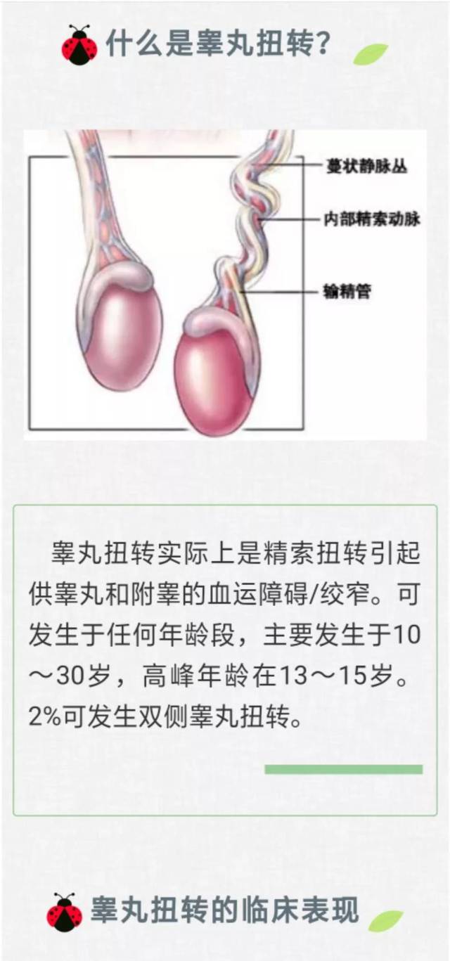 温州11岁男孩被迫割蛋蛋,家长千万要警惕.