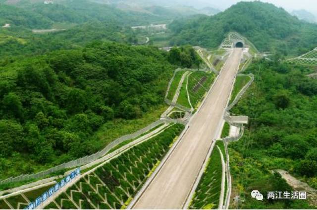重庆铁路枢纽东环线生态文明示范段.