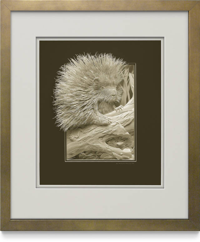加拿大艺术家卡尔文尼科尔斯calvinnicholls一组超精美的纸浮雕动物画