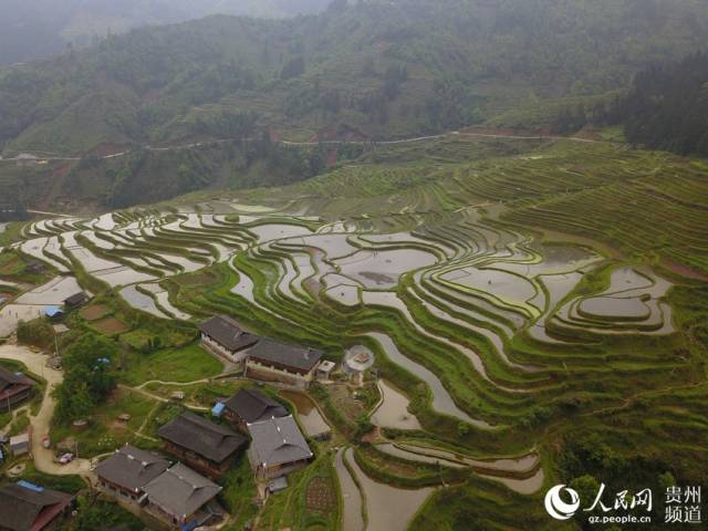 2019年4月21日拍摄的贵州省从江县翠里瑶族壮族乡南岑村梯田景色(无人