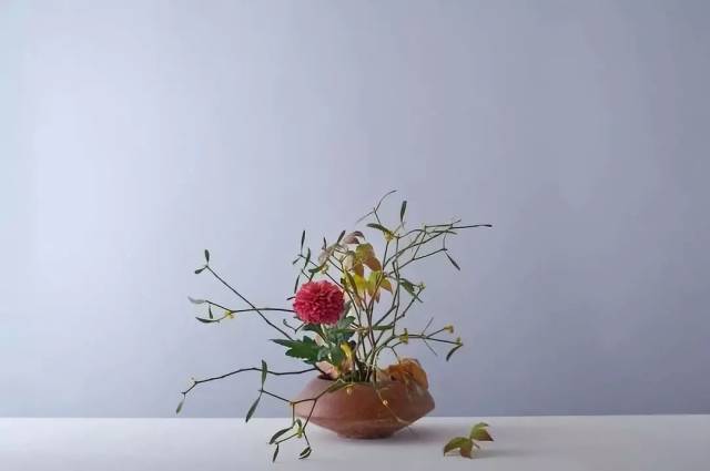 窗外繁花似锦,屋内也需锦上添花