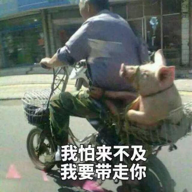 香港买黄金有折扣吗_黄金折扣买香港有折扣吗_香港黄金首饰折扣店