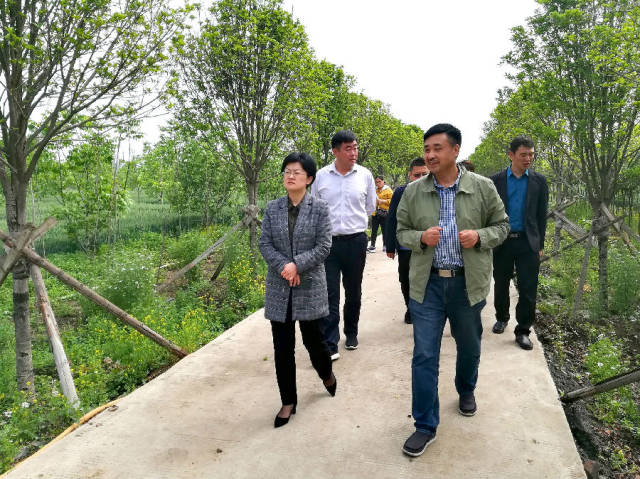 石龙区委书记王玉娟调研扶贫项目和带贫基地建设情况