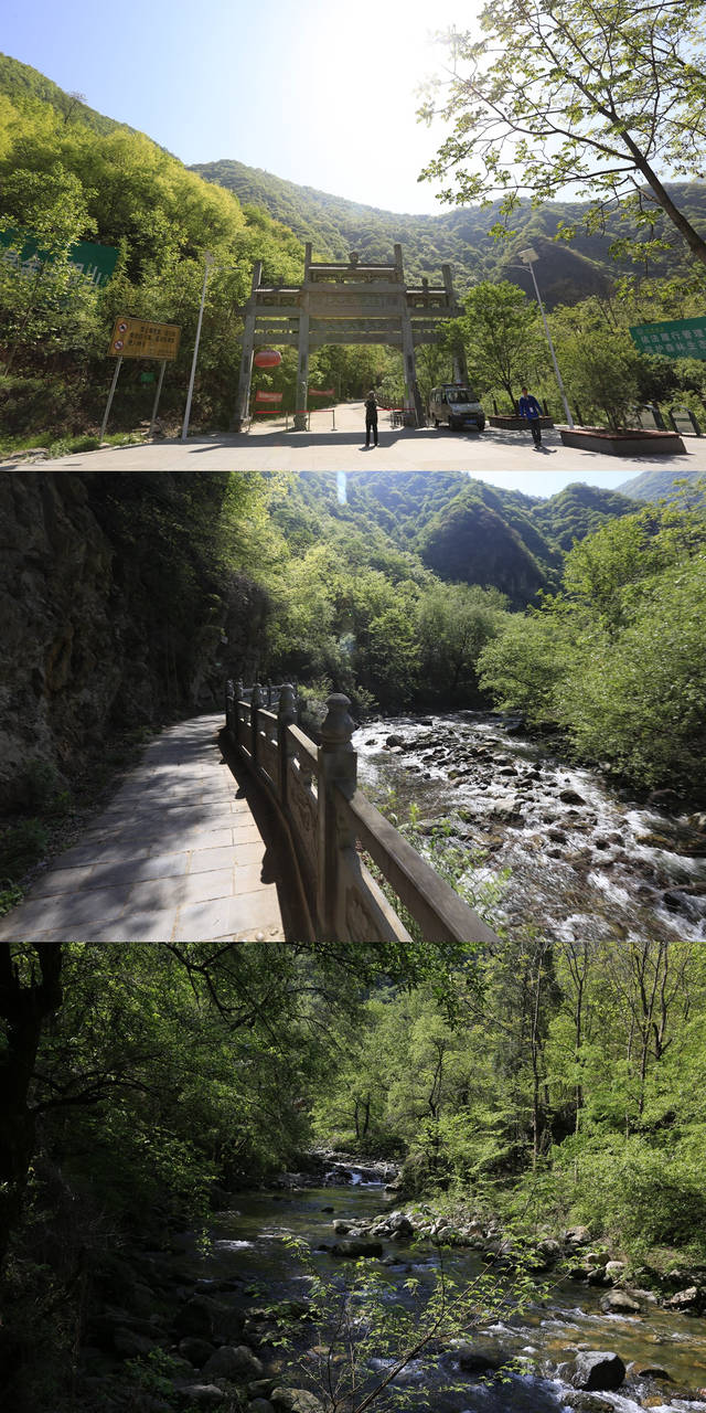 探秘秦岭国家植物园 河谷水流清澈见底河边绿树成荫美如画卷_手机搜狐