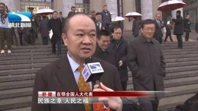 裸泳突发丨武汉大型企业三环集团党委书记董事长舒健被查