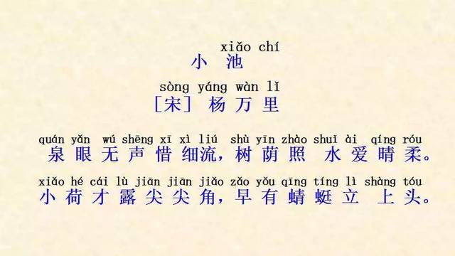 教学视频--小池 教学视频--池上 视频可下载 在公号回复 "视频" 送