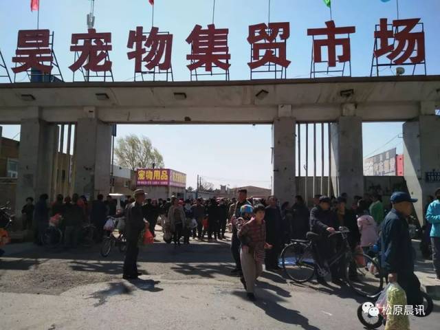 晨讯头条 ┃ 江北"狗市"搬新家了 新园街告别脏乱堵